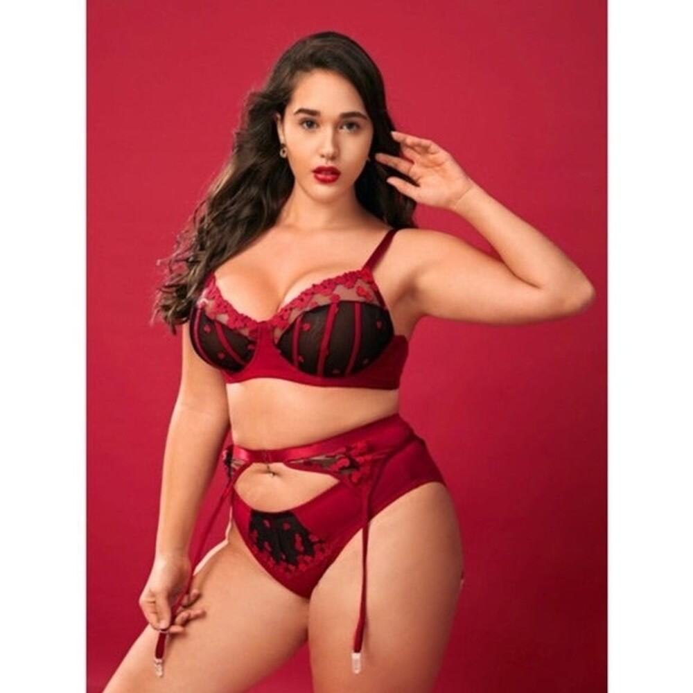 16 Plus (2X) Red & Black Heart Embroidery Mesh Underwire Garter Lingerie Set